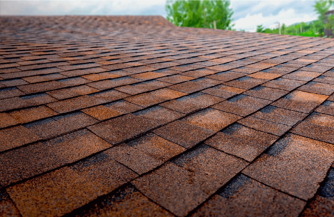 asphalt shingle